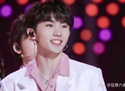 娱乐圈吃瓜马嘉祺是谁的粉丝,娱乐圈吃瓜群众的热议焦点