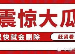 娱乐圈吃瓜帖子大全最新